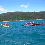Viele fahren Kayak im Abel Tasman NP